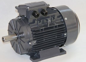 特波铸铁壳IEC电机