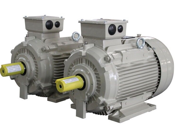 东元N系列IE3电机