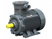 东元低压隔爆电机